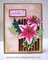 2008/03/19/Pink_lily_brown_fence_card_for_site_by_maxene.jpg