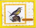 2008/04/12/Yellow_bird_by_cjstamps.jpg