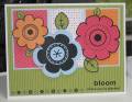 2008/05/09/Bloom_in_Summer_by_chanteuse.JPG