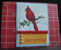 2008/06/19/just_because_cardinal_by_stampfest.jpg