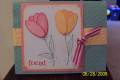 2008/06/28/Oval_punch_Tulips_by_daysi1.jpg