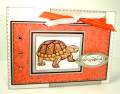 2008/07/29/friendship_turtle-4_by_Cards_By_America.JPG