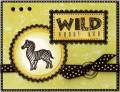 Wild_About