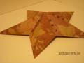 2008/09/16/5_point_3-d_star_tutorial_036_copy_by_Stampin_Di.jpg