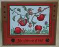 apples2_by