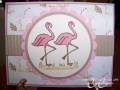 2008/10/03/LSC188_Pink_Flamingo_by_KY_Southern_Belle.JPG