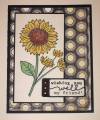 2008/11/02/Year_of_Flowers-_Sunflower_Crate_Paper_by_nlsmith68.jpg