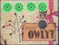 owly_card_