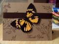 2009/02/26/JustBecause_Butterfly_by_JustBecause.JPG