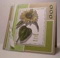2009/03/16/Emily_Stamp_Something_Challenge_sunflower_by_SCEmily.jpg