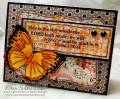 2009/03/18/Butterfly-orange_by_sweetnsassystamps.jpg
