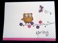2009/03/23/Spring_Popped_Owl_by_tamarndt.JPG