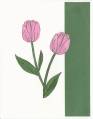 2009/03/23/Year_of_Flowers_-_Tulip_01_-_Exterior_by_Bizet.JPG