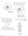 2009/03/25/blooming_explosion_instructions_page_2_by_tigger_smom.JPG
