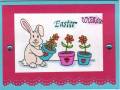 easter_wis