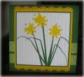 2009/04/15/Designer_cards_2009_Punched_Daffies_by_RobinRingtail.jpg