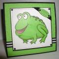 2009/04/17/Frog_Birthday_Card_by_tracyltripp.JPG