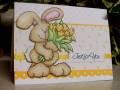 2009/04/30/Just_for_you_Bunny_by_SassiAngel.jpg