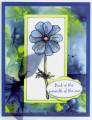 2009/05/03/Kimm_CC_Blue_flower_5_3_09_by_stamps_amp_cars.jpg