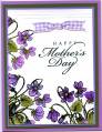 2009/05/09/tri-colored_violets_by_Stampin_Granny.jpg