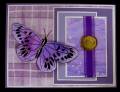 2009/05/13/SC228_purple_butterfly_case_by_MariLynn.JPG