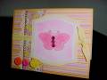 2009/06/07/FS122_Pink-yellow_butterfly_by_pinkberry.JPG