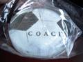 2009/06/13/paperweight-for-coach_by_TERRORE3.jpg