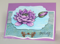 2009/07/09/Waterlily_CO_0609_by_ChristineCreations.png