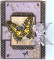 2009/07/16/SC237_B_is_for_Butterfly_by_knoxville8625.jpg
