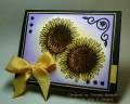2009/09/19/Sunflowers1_by_TheresaCC.jpg