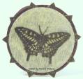 2009/12/11/IC210_Butterfly_Ornament_Card_by_okstamper.JPG
