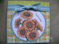2010/01/02/SSS37_Birthday_Daisies_Card_by_KY_Southern_Belle.jpg