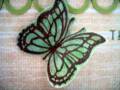 2010/02/19/Butterfly_closeup_by_mother_necessity.JPG