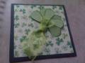 2010/03/06/St_Patty_by_didlet.jpg