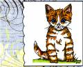 kittycard_