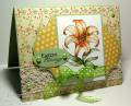 2010/03/19/Daylily_Easter_CO_0310_by_ChristineCreations.jpg