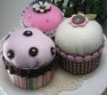 cupcake_pi