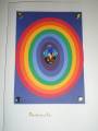2010/04/18/Chakras_by_Carrie3427.JPG