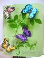 2010/04/26/030210_HA_Butterflies_Birthday_Spring_Card_by_hartofhearts.jpg