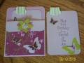 2010/06/10/littleladybug3-birthdaypocketcards_by_littleladybug3.JPG