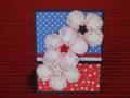 2010/06/11/Forth_of_July_flowers_by_Havasugramma.JPG