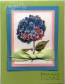 2010/06/20/Cards375_by_jguyeby.jpg