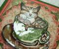 2010/07/03/kitty_in_cup_1_c-up_wm_by_true-2-you.jpg