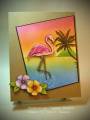 2010/07/07/Flamingo-and-Flowers_by_TheresaCC.jpg