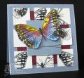 2010/07/11/SA_mosaic_butterfly_dmb_by_dawnmercedes.JPG