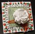 2010/08/06/2_White_rose_with_Strawberries_by_Bonnie_McLain_by_lovelightandpeace.jpg