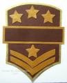 2010/09/20/Sergeant_Badge_2_by_star.JPG