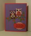 2011/01/07/Candy_Colored_Owls_F4A46_by_mbrcutie25.JPG