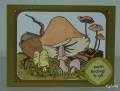 Mushroom_B