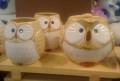 2011/02/14/Owl_Teapots_by_Mothermark.jpg